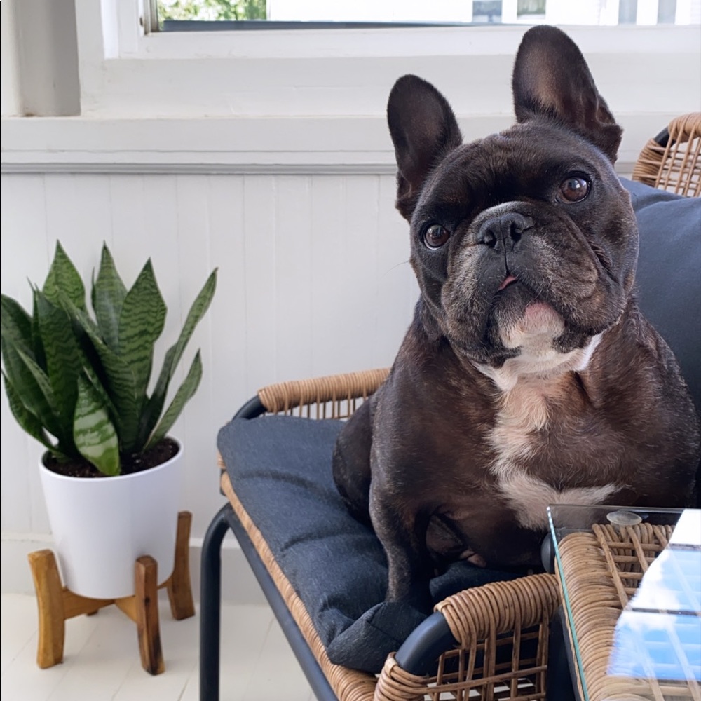 Meet your Posher, Chloe
